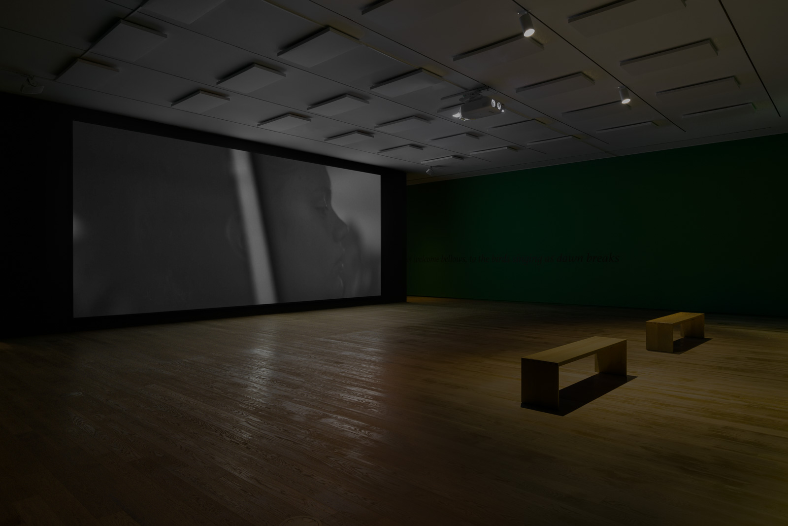 Remai Modern - Shannon Te Ao: Ka Mua, Ka Muri