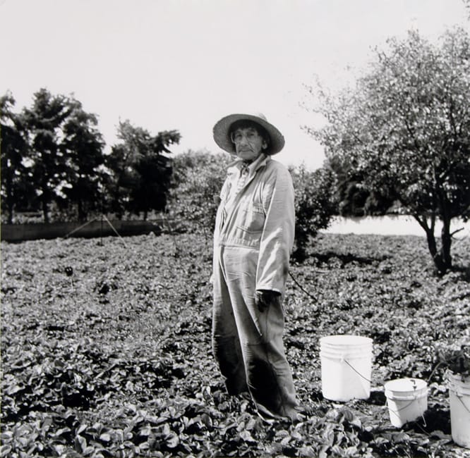 Thelma Pepper, Evangelineu2019s Mother, 1993, gelatin silver print, 38.5 x 38.5 cm. The Mendel Art Gallery Collection at Remai Modern. Gift of the artist, 2001.