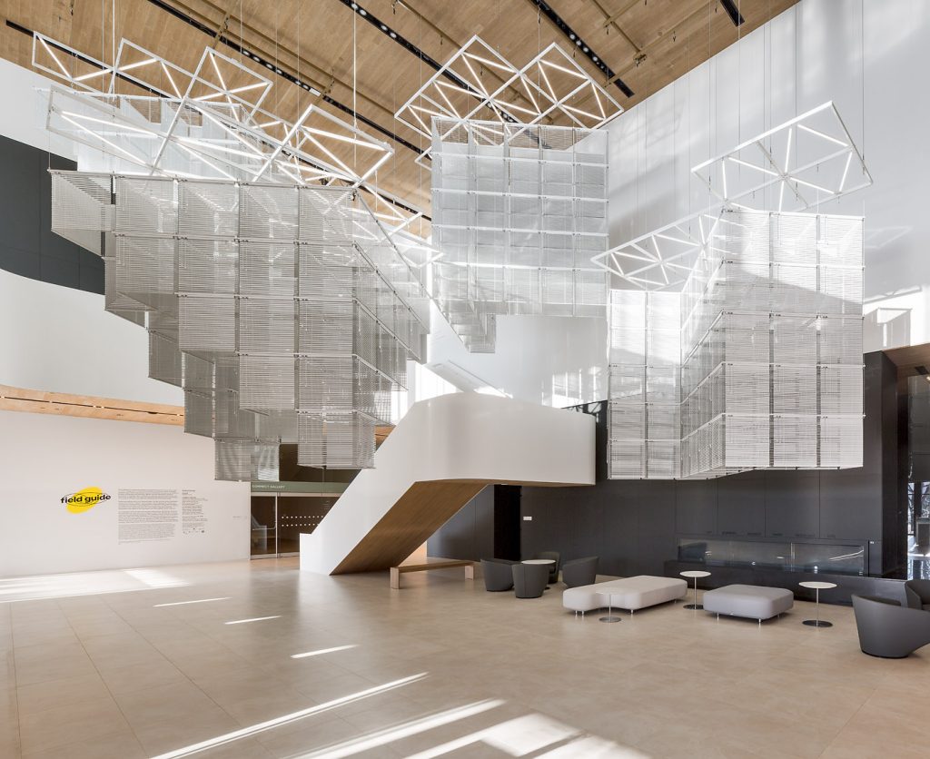 <em>Field Guide</em>, Installation view, Remai Modern, 2017. Photo: Blaine Campbell