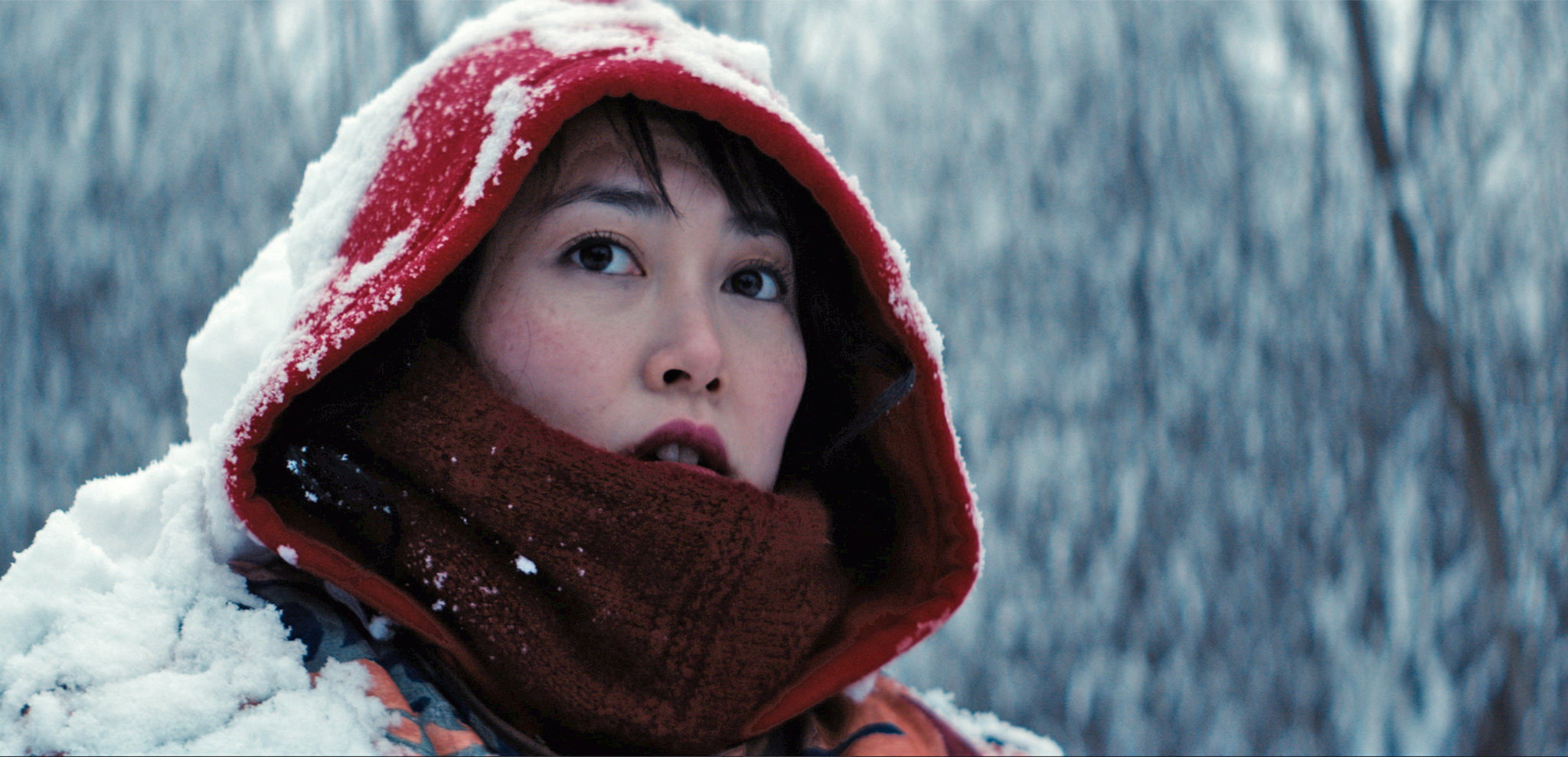 Kumiko, The Treasure Hunter (2014) film still