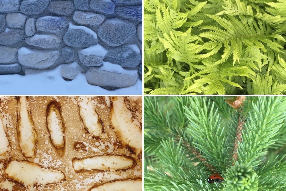 textures and patterns