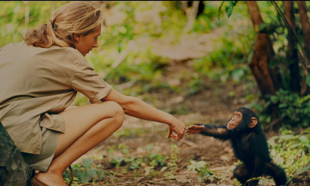 Jane (2017) film still