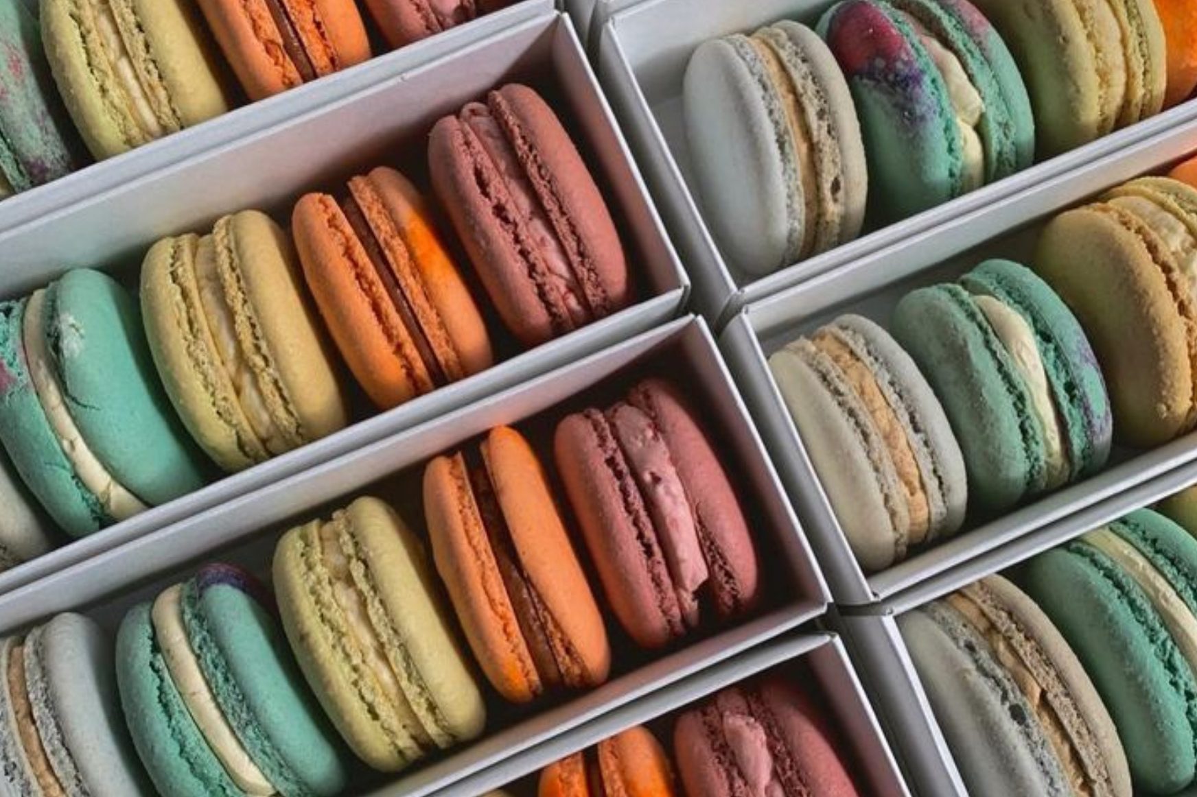 The Night Oven Macarons