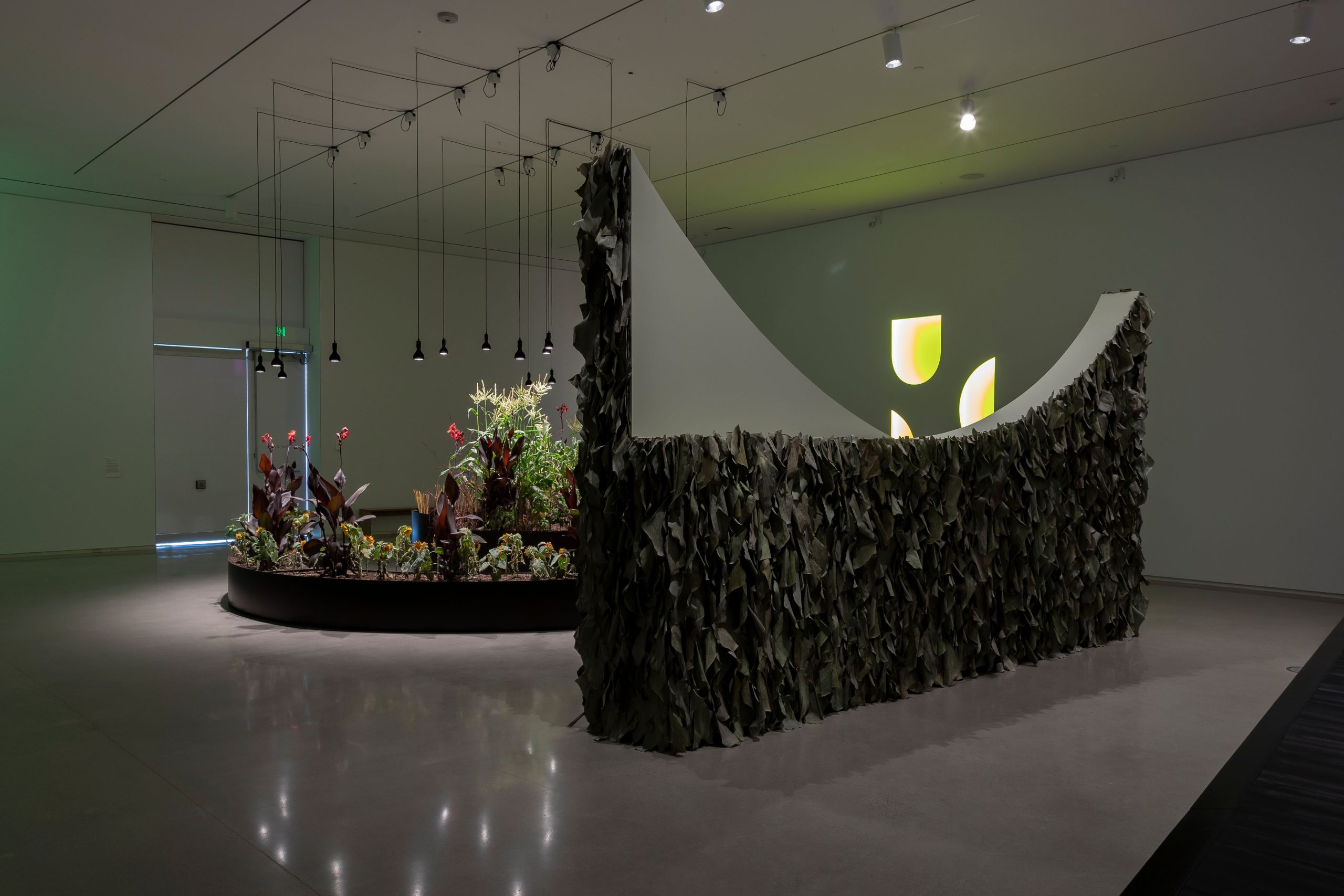 Kapwani Kiwanga: Remediation, installation view featuring a sculptural work with live plants. Photo: Carey Shaw