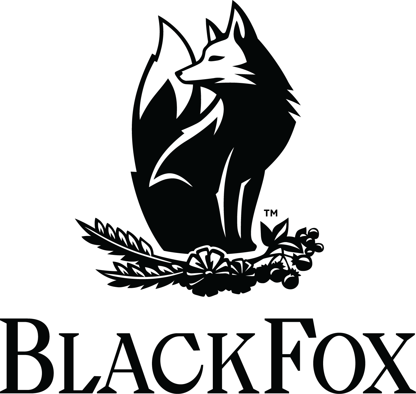 Black Fox Logo Final Main logo Black on White. Transparent