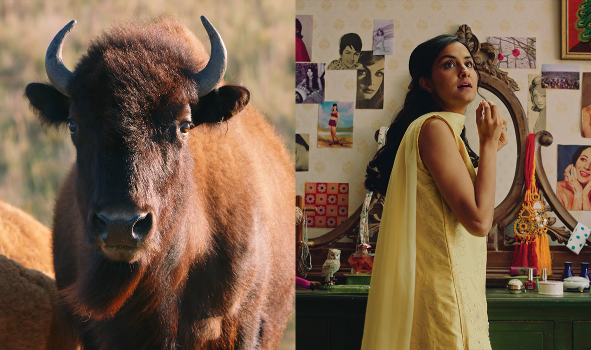 A split-screen image shows a bison on the left and a young woman on the right. The bison stands in a natural grassy landscape, facing the camera with a calm, steady gaze. On the right, the woman wears a yellow dress and stands in front of a mirror in a decorated bedroom, looking over her shoulder with a surprised or curious expression. The wall behind her is covered in vintage-style posters and photographs. The juxtaposition suggests a contrast between nature and personal, perhaps cultural, identity.